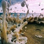 Reef break
