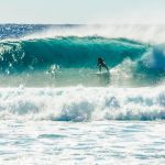 alex16