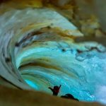 shaka @2scoopsofaloha