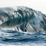 ONE SHOT_Justen Allport_Cast_Big Brother