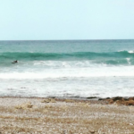 LineUp Surfshop