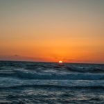 Λαγκούβαρδος – LineUp SurfShop 2