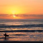 surf -pexels-nathan-cowley-