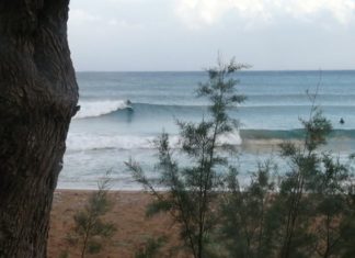 Surf sessions στην καρδιά του χειμώνα