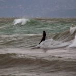 Waveland Photography 1