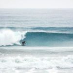 Νίκος Γκόγκος Αλεξ Παππάς